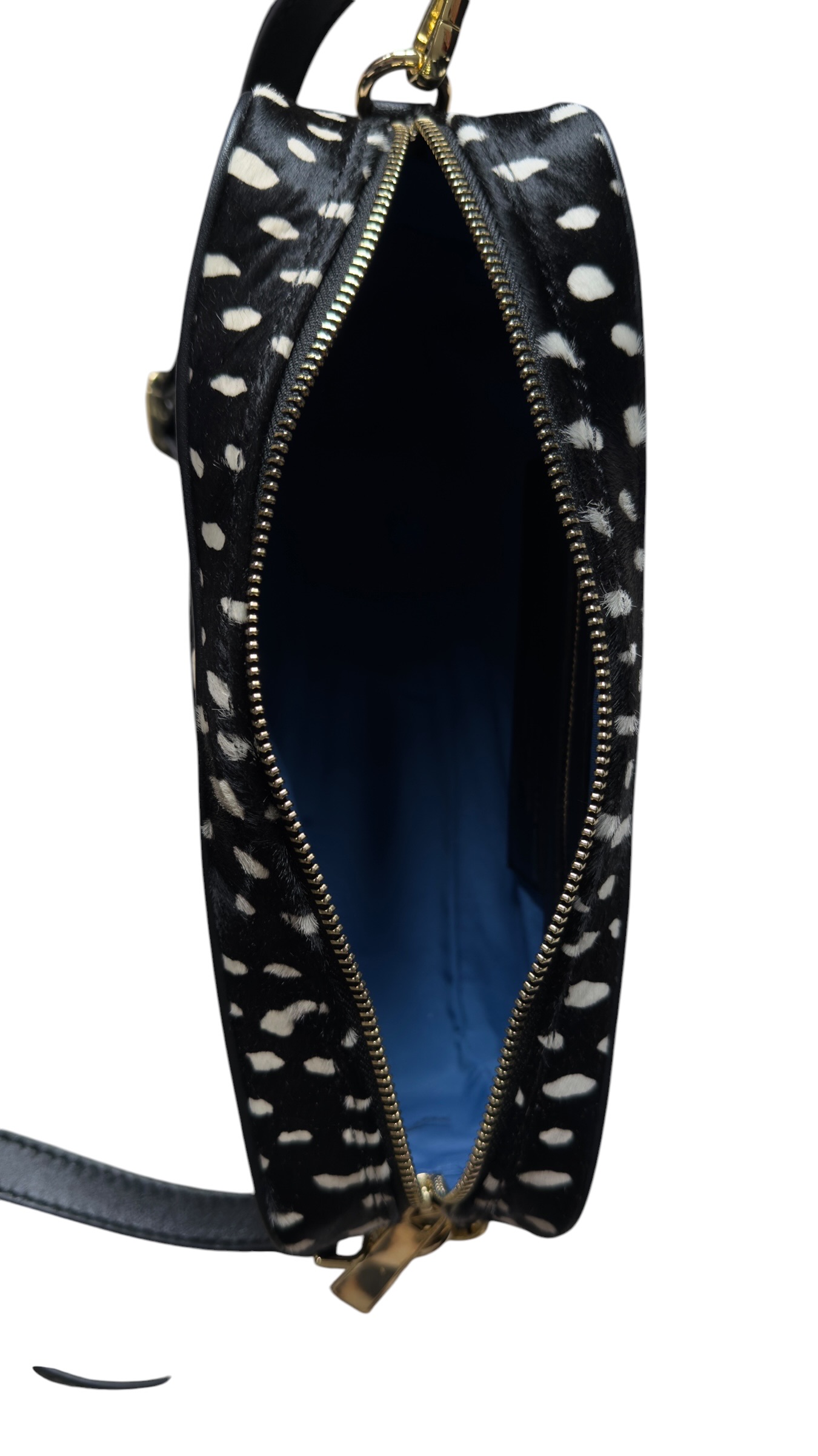 (Geo) Gazelle Noir - Image 4